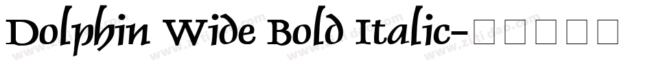 Dolphin Wide Bold Italic字体转换
